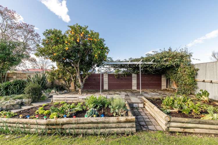 42 James Foley Avenue Pirimai_13