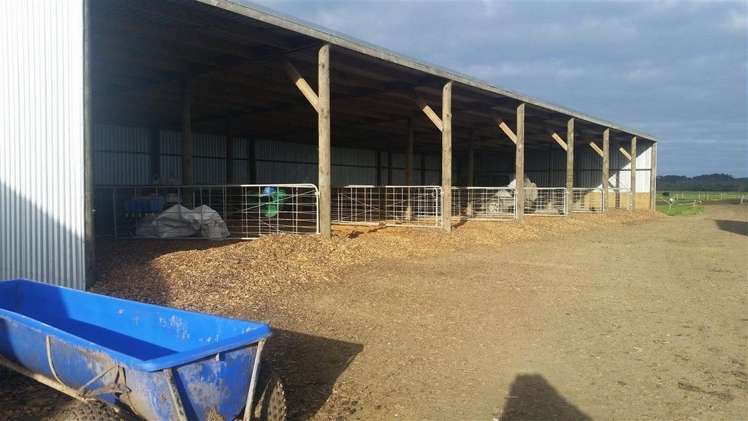 73 West Road Awanui_9