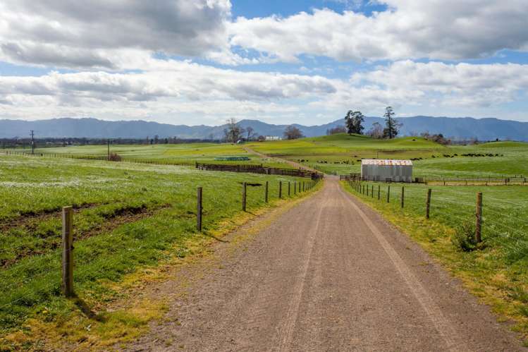 2175 Morrinsville-Walton Road Richmond Downs_13