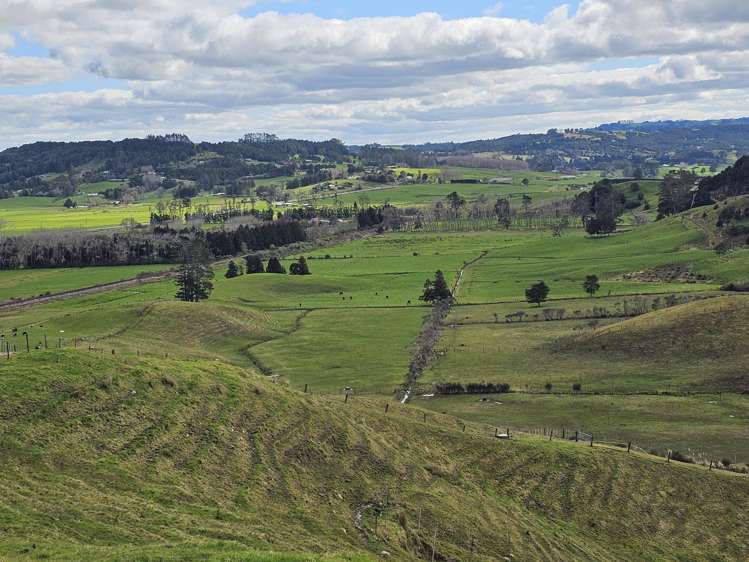 113C Marua Road Hikurangi_30