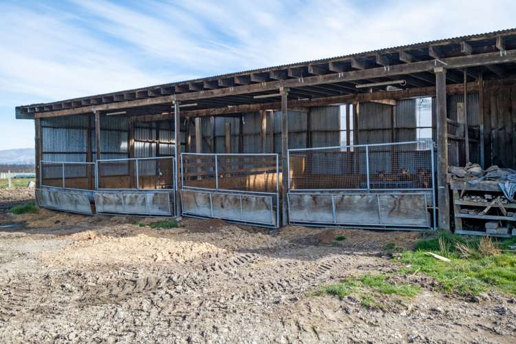 347 Butlers Road Fairlie_11