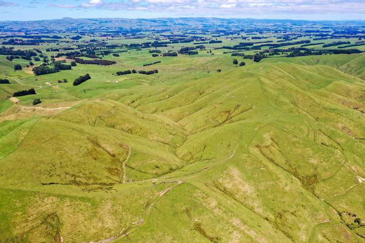 412 Tamaki West Road Dannevirke_21