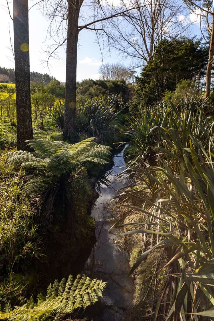 22 Rosemount Road Matakana_24