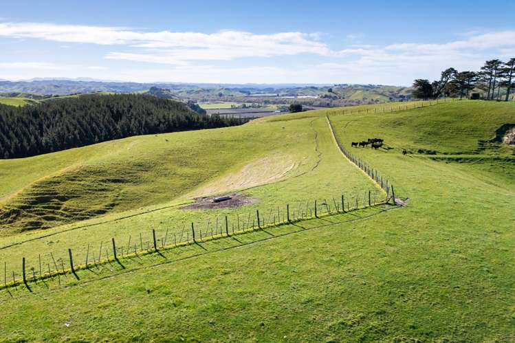 201 Breckenridge Road Puketapu_6