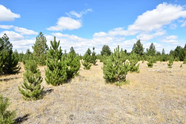 10 Flanagan Lane Twizel_10