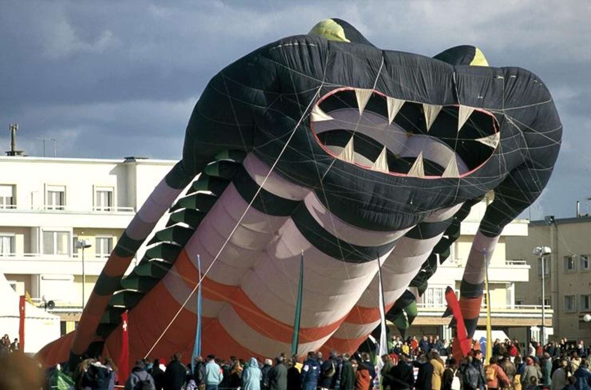 Home of Kiwi kite legend hits the market after 70 years in the same family
