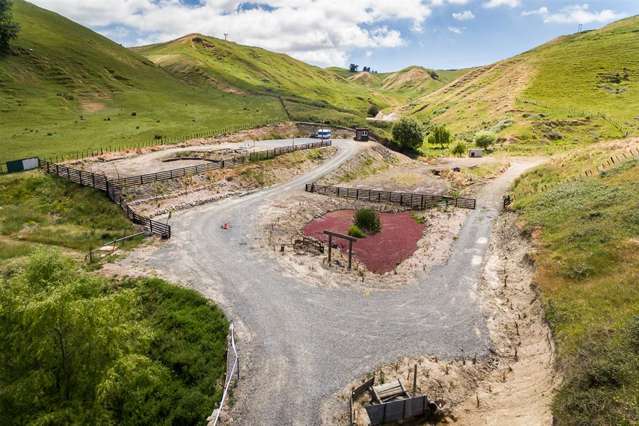 146 Springfield Road Taradale_1