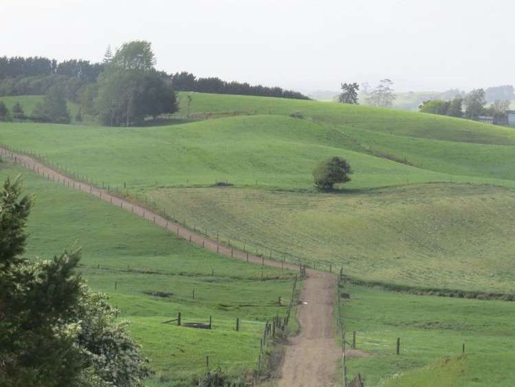 114 Pukekapia Road Ruawaro_7