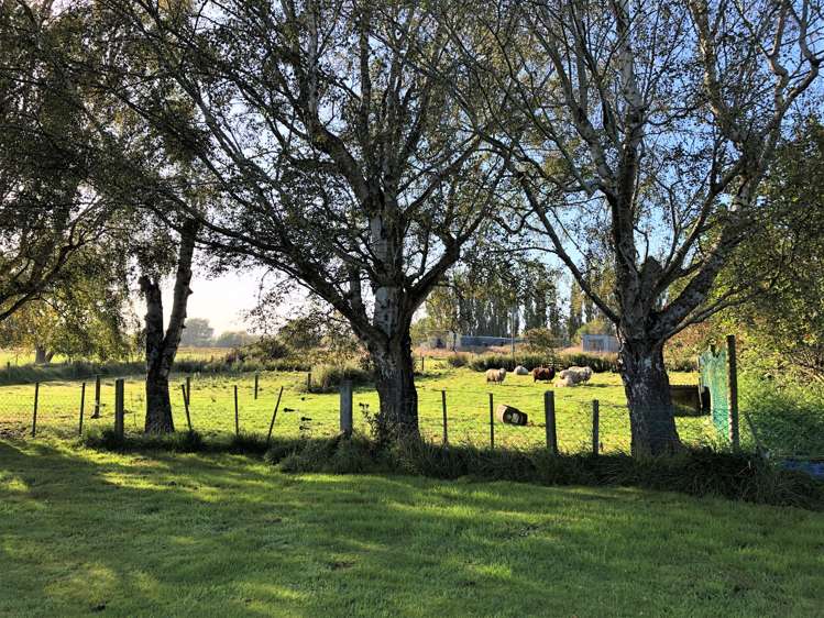 83 Anderson Road Stirling_9