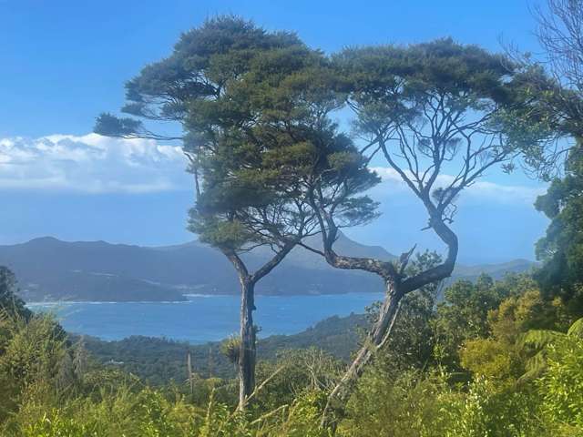 Sustainability Island Living at its Best & Views!