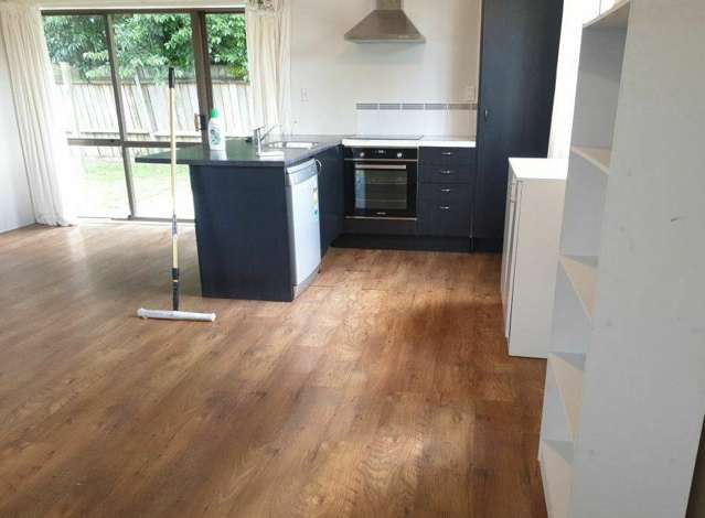 A/91 Scott Street 11373_1