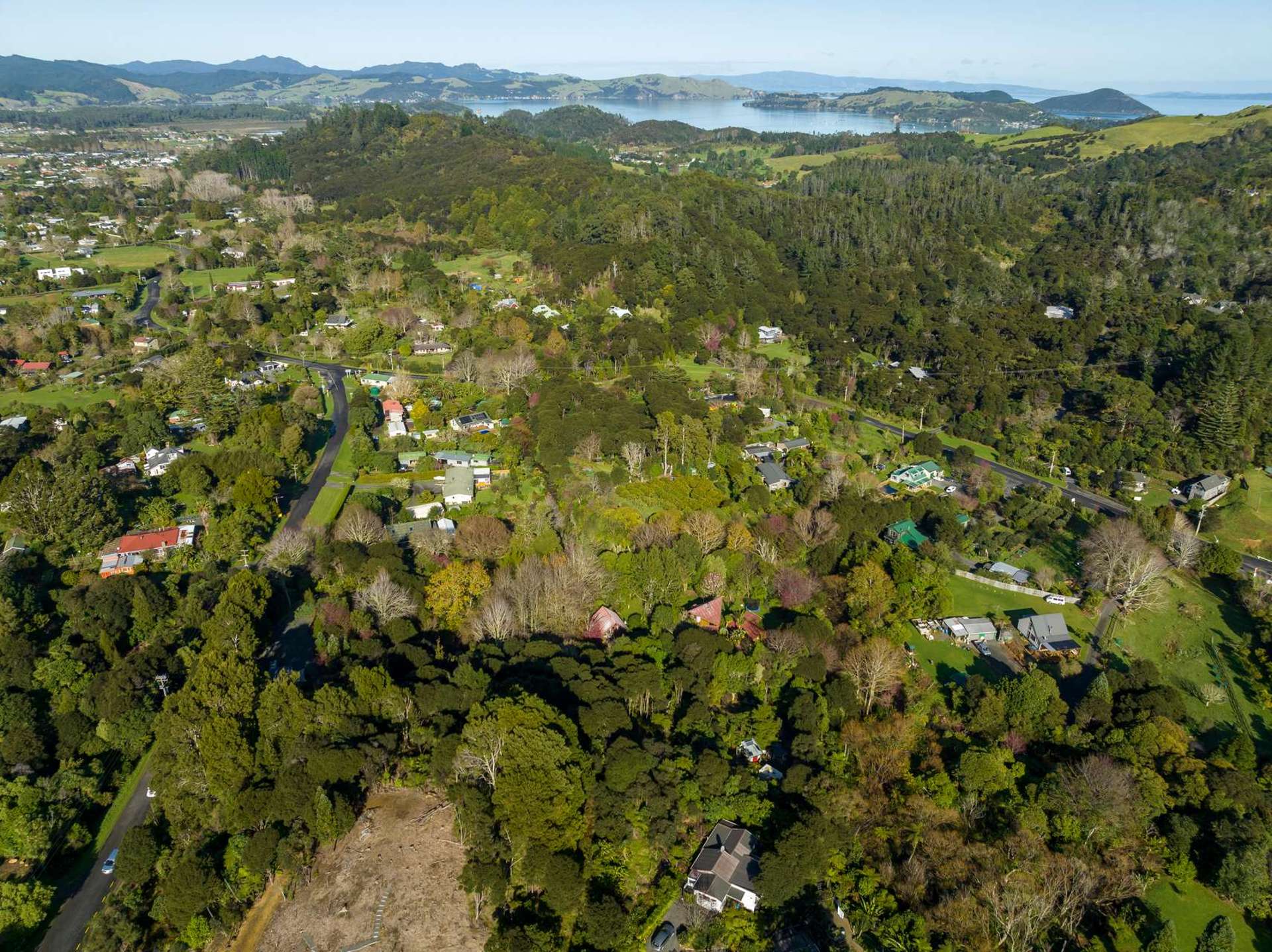 225b Driving Creek Road Coromandel_0