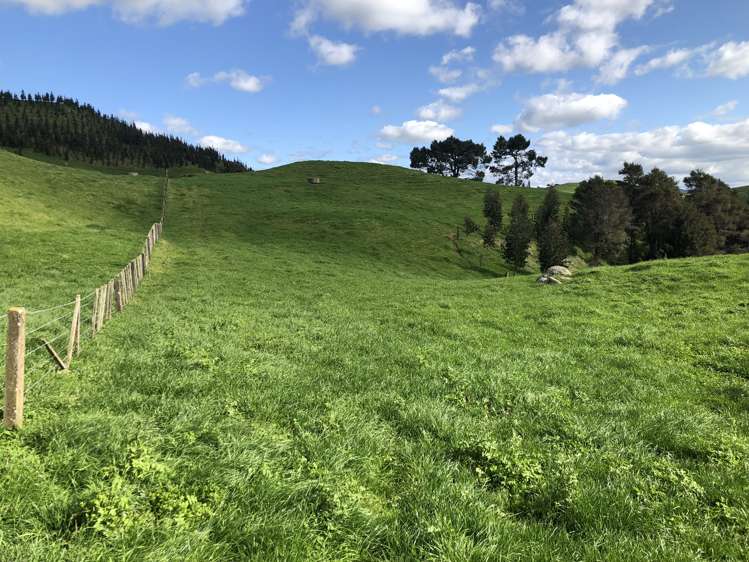 428 Whatauri Road Wharepapa South_15