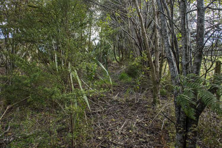 56 Te Rongo Road Parua Bay_8