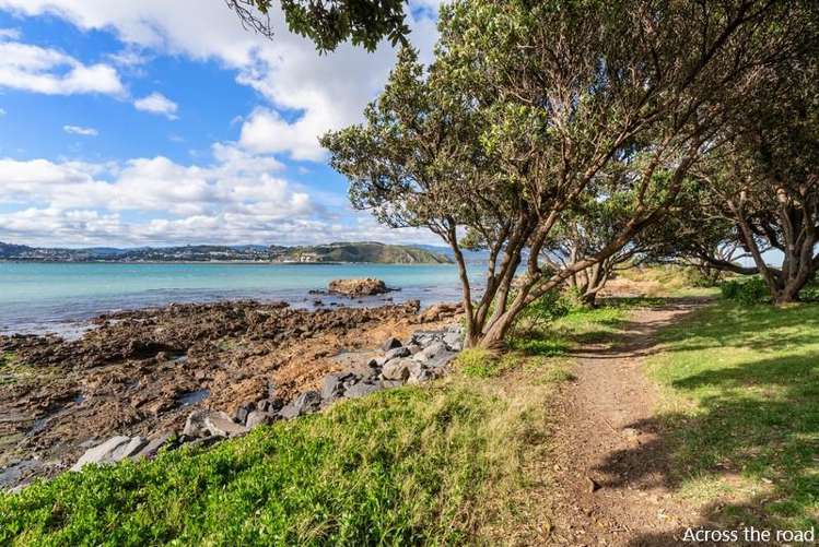 318 Queens Drive Lyall Bay_30