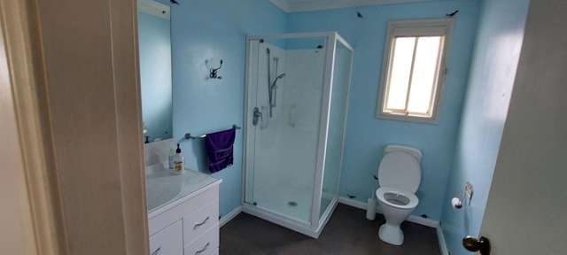 12a Victoria Street Levin_4