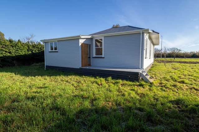 - Peters Street Hinds_4