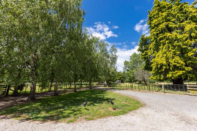 116 Ru Collin Road Bridge Pa_13