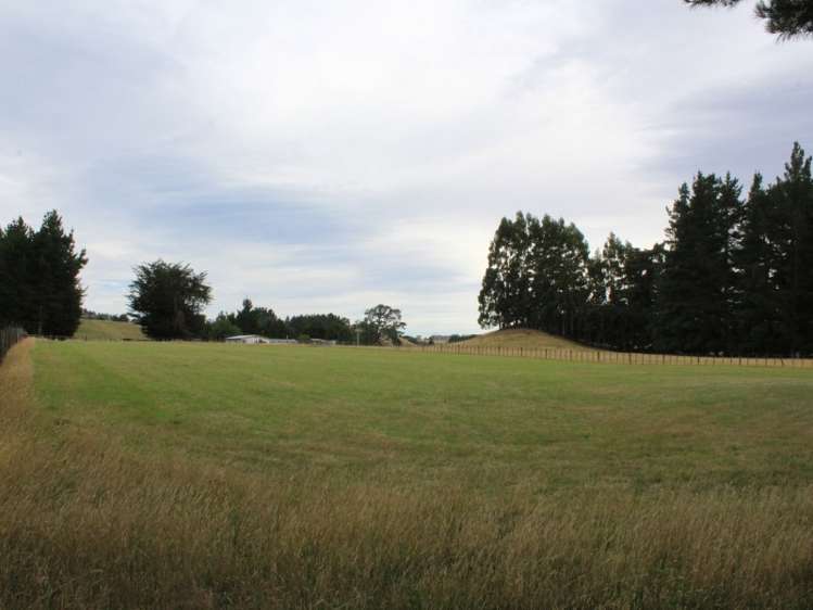 38 Goodeve Road Ormondville_10