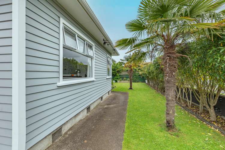 5 Nelson Street Levin_12