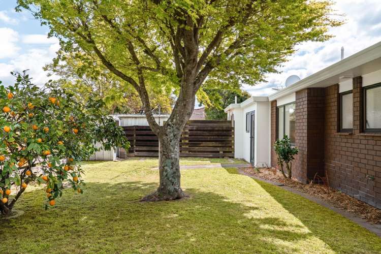 4B Ngarimu Place Mt Maunganui_12