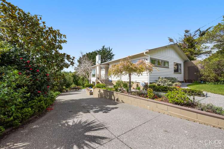 121 Park Road Belmont_22