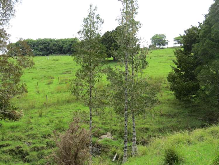 Lot 4 Taylor Road Taipa_9