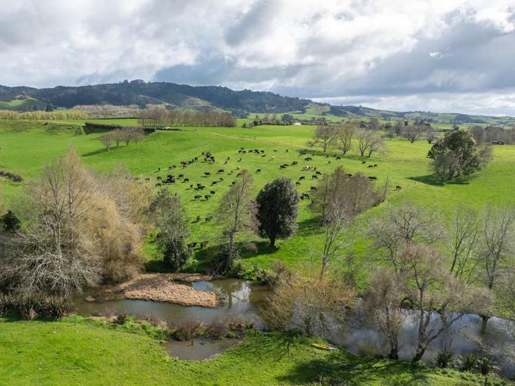 180 Cameron Road Morrinsville_5