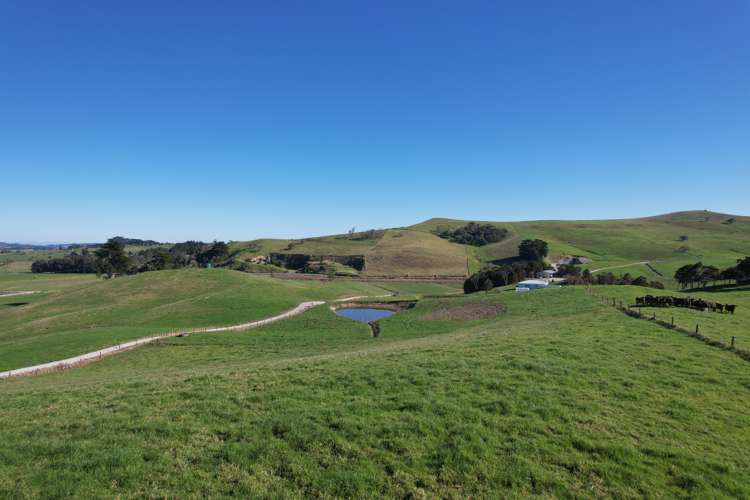 Lot 7 Mititai Road Dargaville_16
