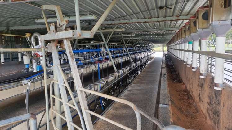 388 Matauri Bay Road Kaeo_7