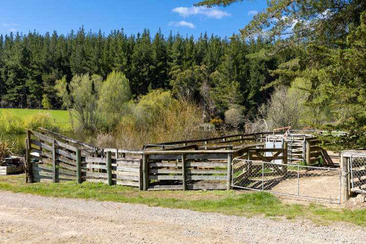 240 George Harvey Road Upper Moutere_35