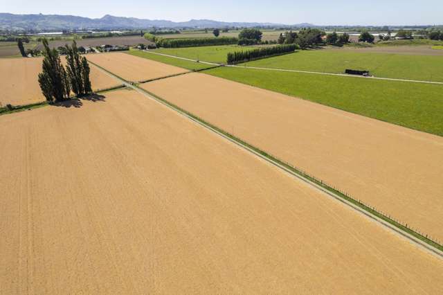 Lavenham Road Waituhi_2