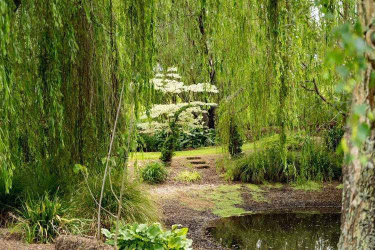 78 Lees Pakaraka Road Masterton_28