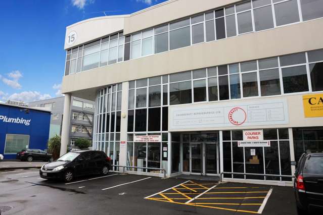 15 Walter Street Te Aro_1