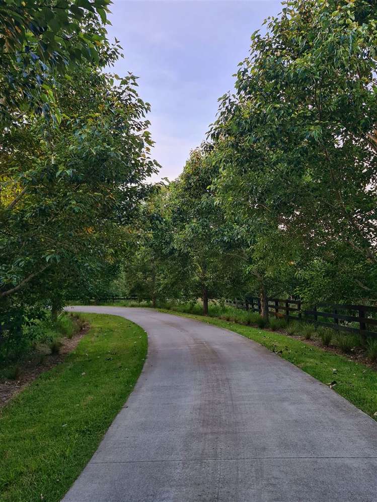 149 Blackbridge Road Dairy Flat_22