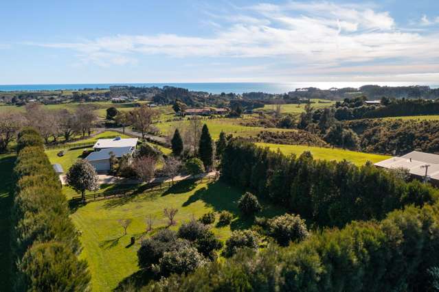 172 Kaipikari Road Upper Urenui_4