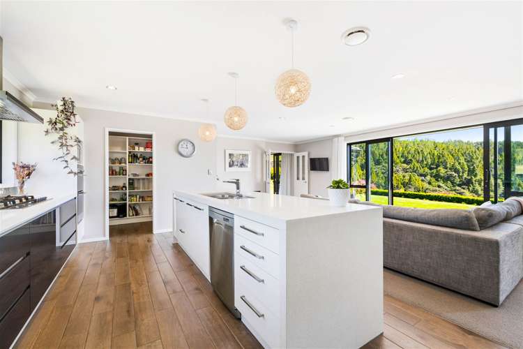 63 Moses Road Kaukapakapa_4