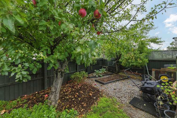 3 Cowper Place Avondale_18