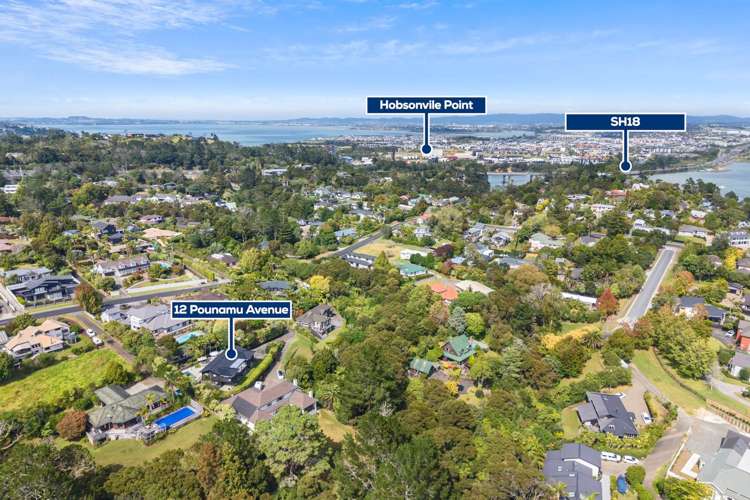 12 Pounamu Avenue Greenhithe_29