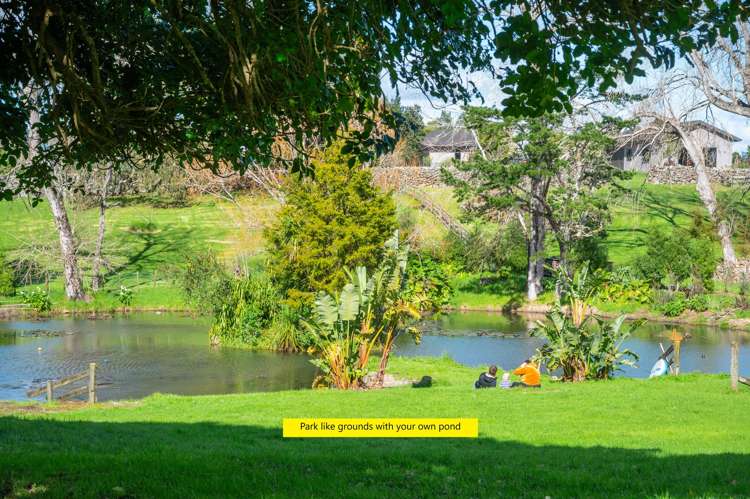 638 Ngunguru Road Glenbervie_19