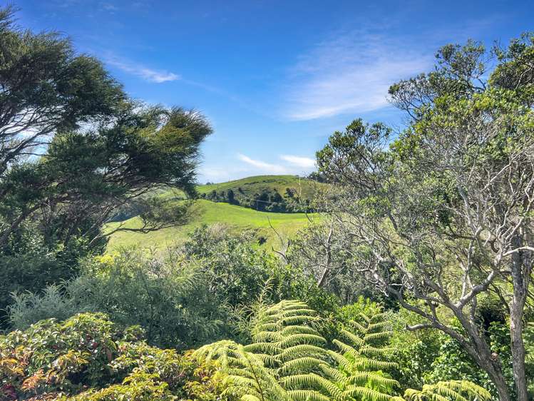 43 Melville Drive Whakatane_27