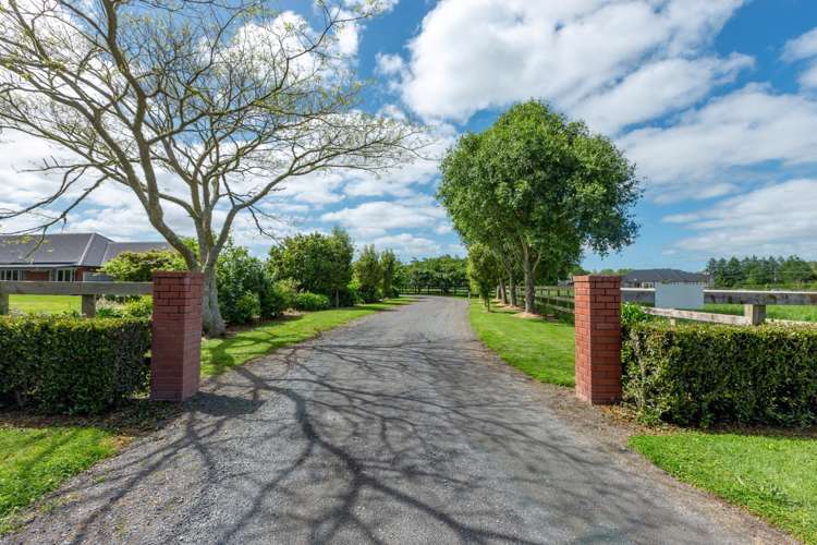 269 Bellevue Road Matangi_4