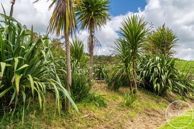 437 Paparoa Station Road Paparoa_31