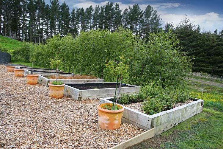 20 Phillips Road Ness Valley_34