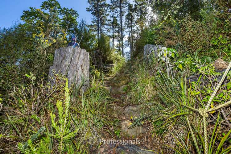 111 and 113 Blue Mountains Road Blue Mountains_7