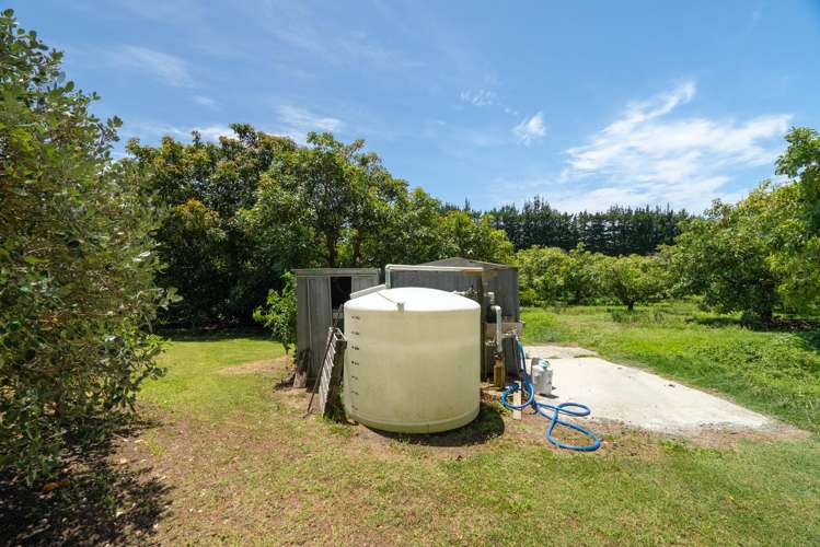 100 Whalers Road Pukenui_7