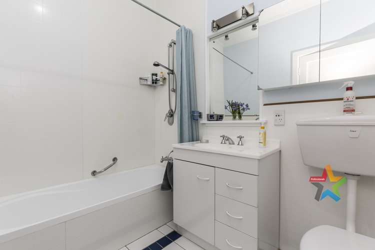 13 Pinnacle Street Seatoun_8