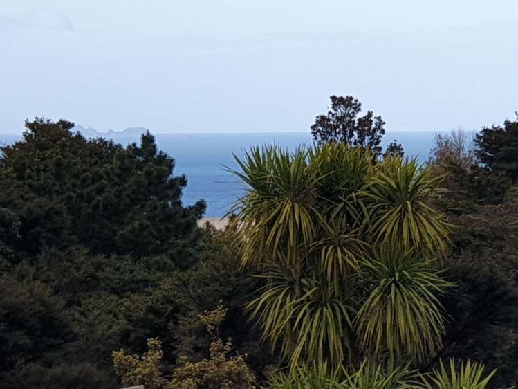 15 Puriri Place, Tuateawa_28