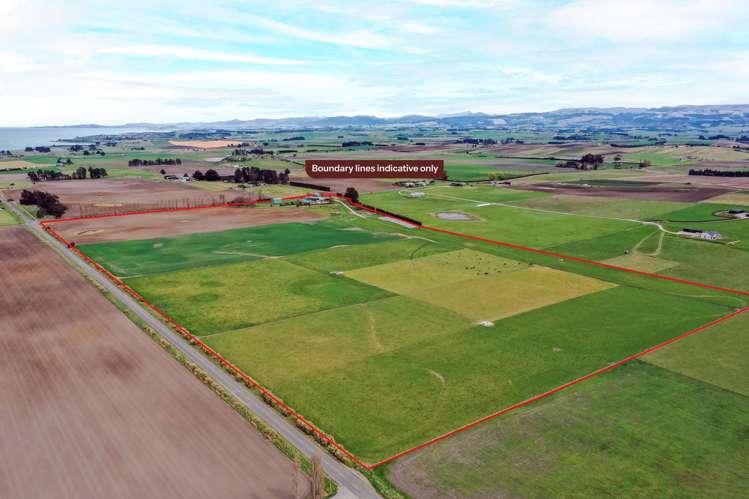 26 Springfield Road Totara_33