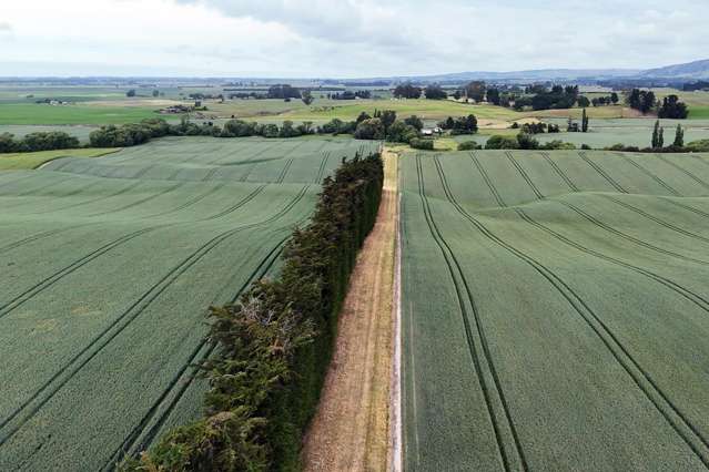 142 Deep Creek Road Waimate_1